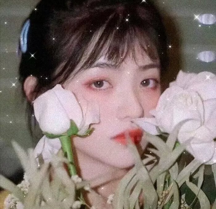白莲花